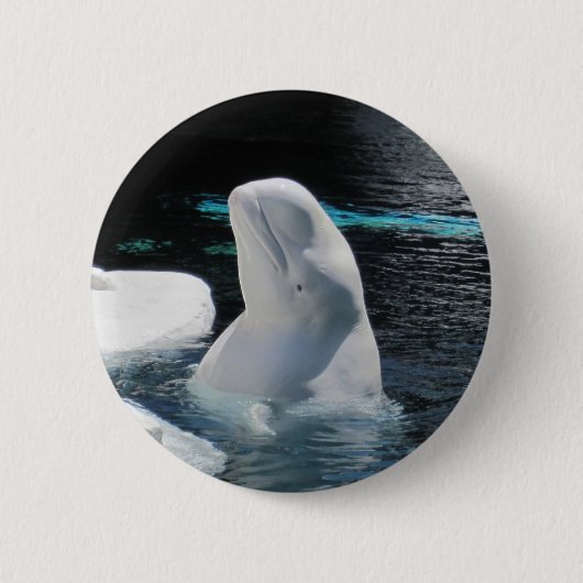 Beluga Whale Pin Ronde Button 5,7 Cm (Voorkant)