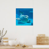 Beluga Whale Poster (Keuken)