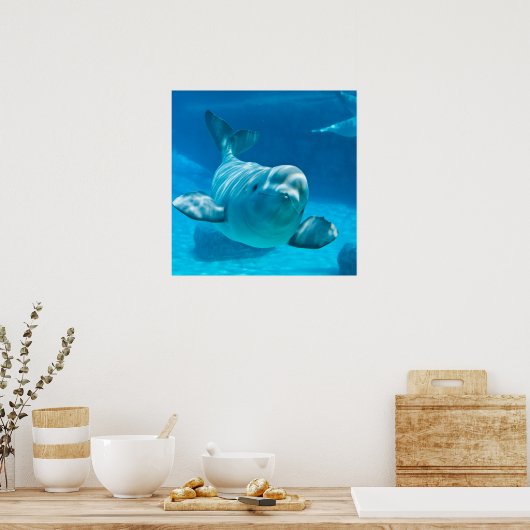 Beluga Whale Poster (Keuken)