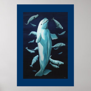 Beluga Whale Print Marine Life Poster Whale Print