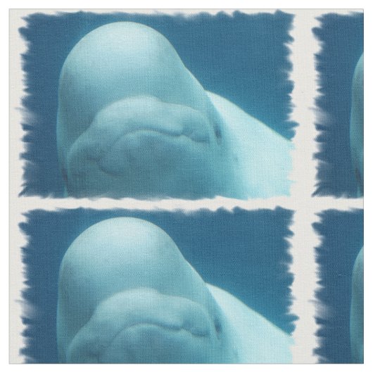 Beluga Whale Stof (Close Up)