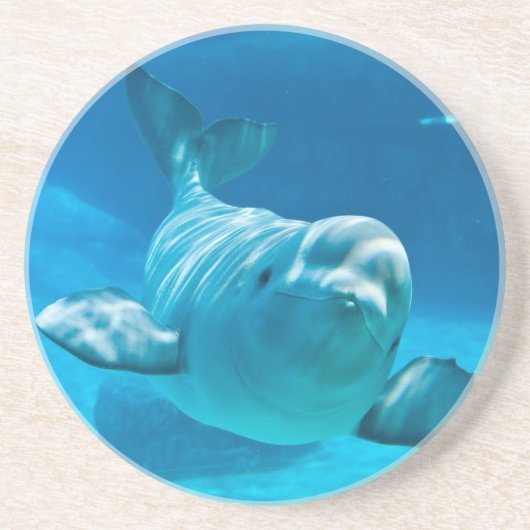 Beluga Whale Zandsteen Onderzetter (Voorkant)