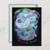 Beluga Whales Briefkaart (Voorkant / Achterkant)