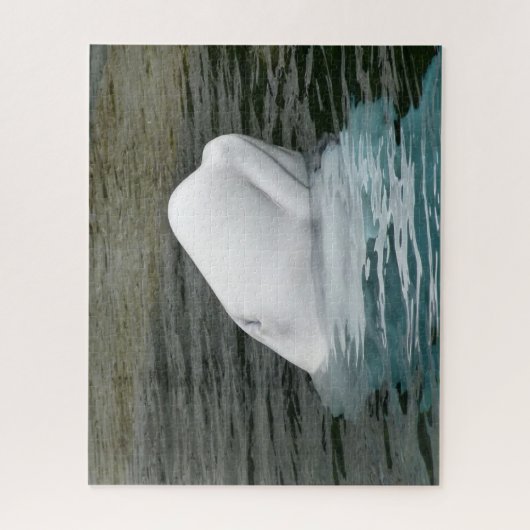 Beluga Whales Legpuzzel (Verticaal)