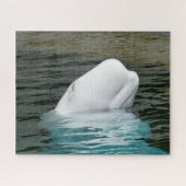 Beluga Whales Legpuzzel (Horizontaal)