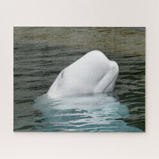 Beluga Whales Legpuzzel (Horizontaal)