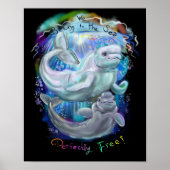 Beluga Whales Poster (Voorkant)