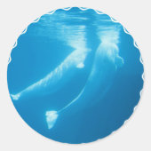 Beluga Whales Stickers (Voorkant)