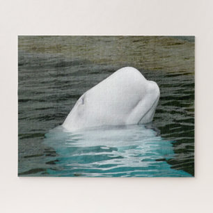 Belugawalvis Alaska Legpuzzel