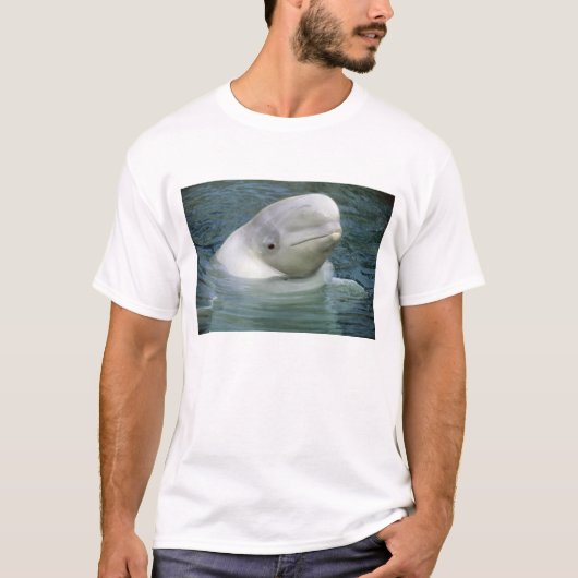 Belugawalvis, Delphinapterus leucas) T-shirt (Voorkant)
