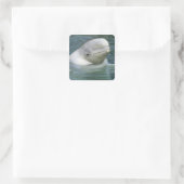 Belugawalvis, Delphinapterus leucas) Vierkante Sticker (Tas)