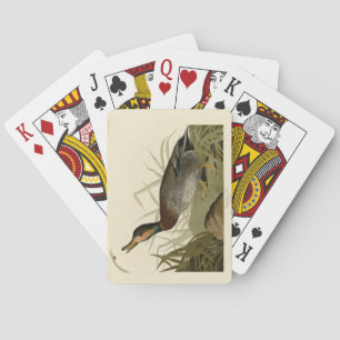 Bemaculate (Brewer's) Duck, Audubon Birds America Pokerkaarten