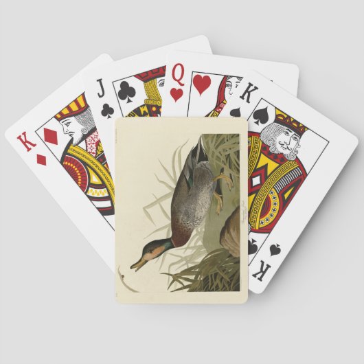 Bemaculate (Brewer's) Duck, Audubon Birds America Pokerkaarten (Achterkant)