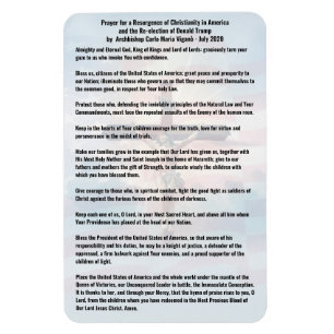 Bemiddeling voor President Trump en de Verenigde S Magneet