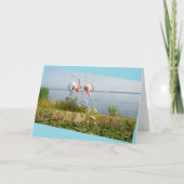 Bemoedigende fubby vibe. bedankkaart (Voorkant)