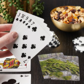 Bemoste Gebroken Grafsteen Pokerkaarten (Insitu)