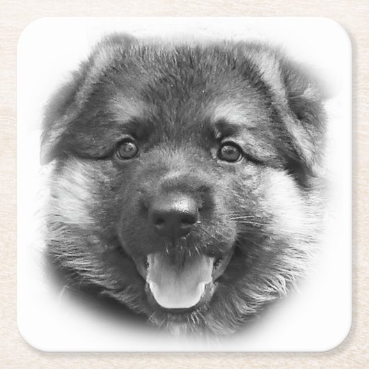 BEN ALS BONK! KARTONNEN ONDERZETTERS (Voorkant)