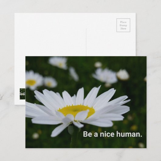 Ben een Menselijk Briefkaart van Nice (Voorkant / Achterkant)