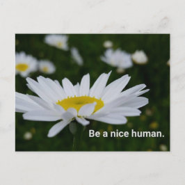 Ben een Menselijk Briefkaart van Nice