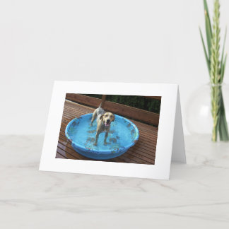 Ben I Mooi of wat? Bedankkaart