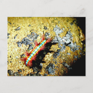 Ben ik anders dan jij?/Night Out Beauty Briefkaart