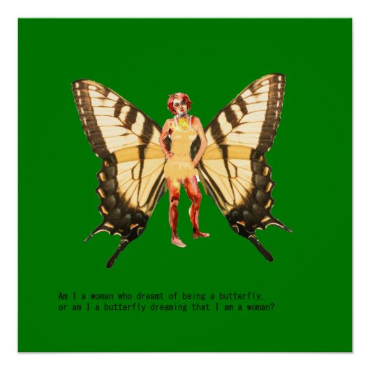 Ben ik een vrouw die ervan droomde een vlinder te  perfect poster (Voorkant)