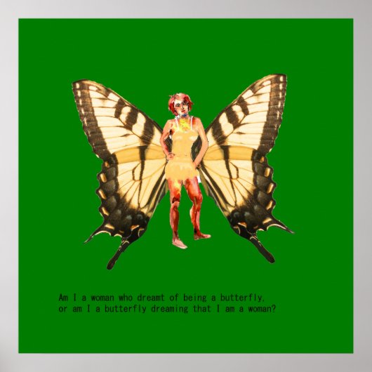 Ben ik een vrouw die ervan droomde een vlinder te  poster (Voorkant)