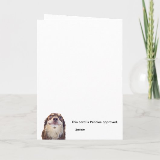 Ben ik het drama? kaart (Achterkant)