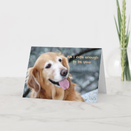 Ben ik Schattige genoeg om jouw Valentijn te zijn? Feestdagen Kaart