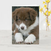 BEN IK "SERIEUS" JA IK BEN OP JE VERJAARDAG! KAART (Gele Bloem)