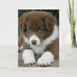 BEN IK "SERIEUS" JA IK BEN OP JE VERJAARDAG! KAART