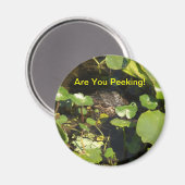 Ben je aan het gluren! magneet (Voorkant / Achterkant)