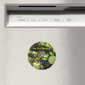 Ben je aan het gluren! magneet (Insitu (Vaatwasser))