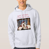 Ben je dit jaar goed geweest? capuchon hoodie (Voorkant)