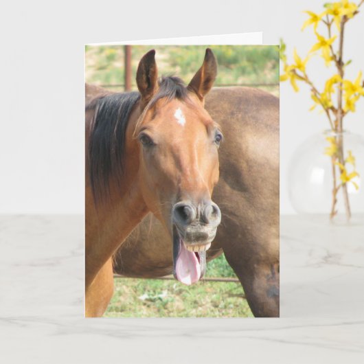 Ben je echt zo oud?! kaart (Gele Bloem)