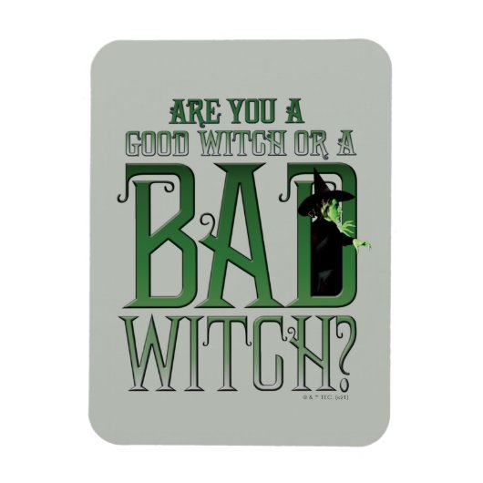 Ben je een goede heks of een slechte heks? magneet (Verticaal)