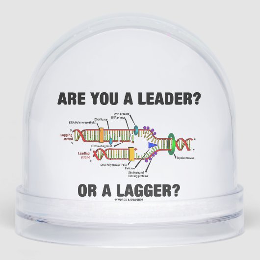 Ben je een leider? Of een grotere? DNA-replicatie Sneeuwbol (Voorkant)