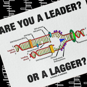 Ben je een leider? Of een grotere? Geek DNA Humor Legpuzzel