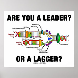 Ben je een leider? Of een grotere? Geek DNA Humor Poster