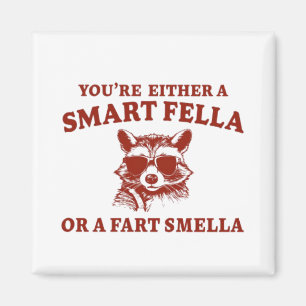 Ben je een slimme kerel of scheet smella retro Car Magneet