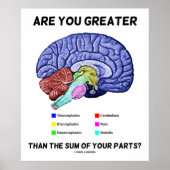 Ben je groter dan de som van je delen? Brain Poster (Voorkant)