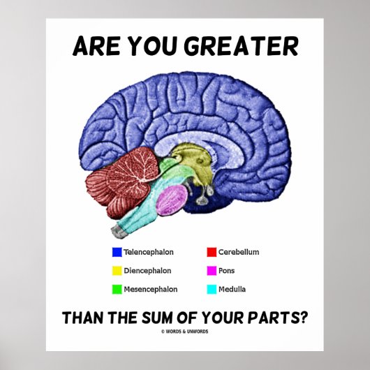 Ben je groter dan de som van je delen? Brain Poster (Voorkant)