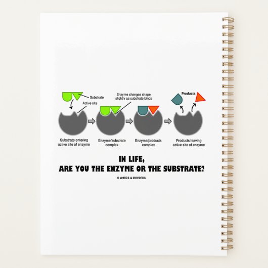 Ben je in het leven enzym of substraat? Induced-Fi Planner (Achterkant)