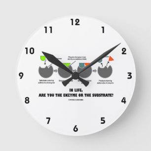 Ben je in het leven het enzym of het substraat? Hu Ronde Klok