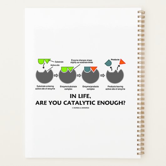 Ben je in het leven voldoende katalytisch? Enzyme  Planner (Achterkant)