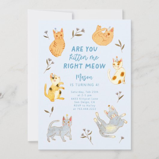 Ben je kat me kat jongen verjaardag kaart (Voorkant)