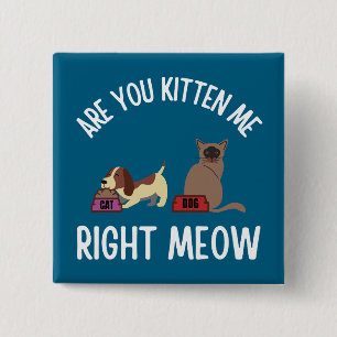 Ben je Kitten me goed Meow? Vierkante Button 5,1 Cm