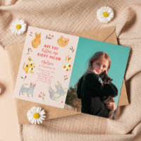 Ben je Kitten Me Kat Verjaardagsfoto