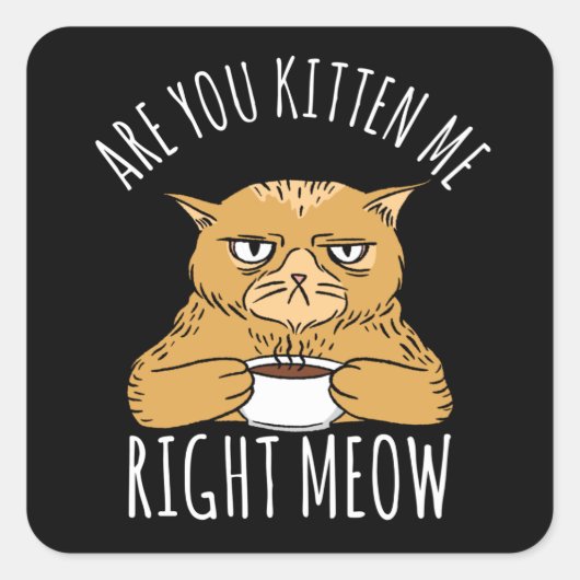 Ben je kitten me net miauw woordspeling vierkante sticker (Voorkant)