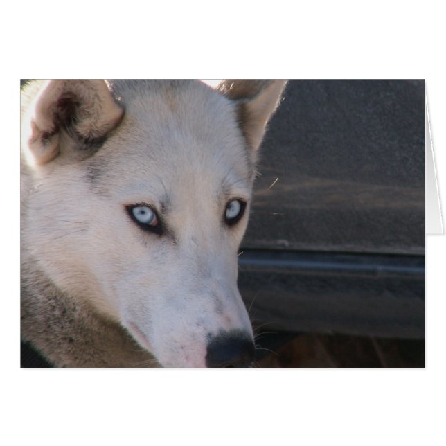 Ben je klaar? (Voorkant Horizontaal)